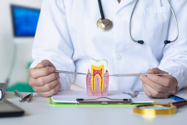 Best 24-Hour Emergency Dentist in Mount Pleasant, IA